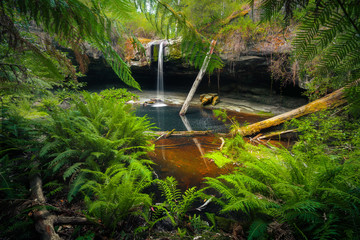 Fresh Falls