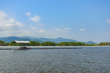 Aquaculture on brackish water at mangrove forest in Chanthaburi, Thailand. Wooden houseboat and oyster, mussel or shell fish farm are built with recycling bottles and background of mangrove forest.
