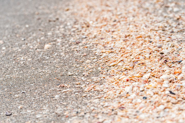 Many broken seashells sea shells shelling on Sanibel Island, Florida during day on Gulf of Mexico shore and pattern