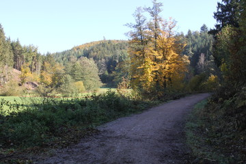 Fototapeta premium herbst