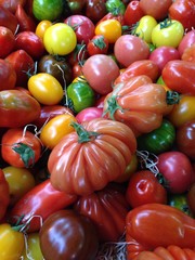 Heritage tomatoes