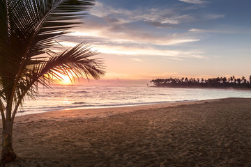 Tropical Beach Sunrise in Punta Cana, Dominican Republic