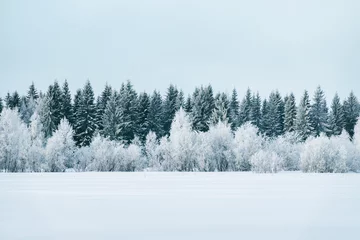 Tuinposter Besneeuwd landschap en bos in de winter Rovaniemi © Roman Babakin