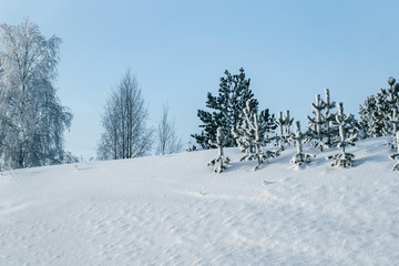 Snowy countryside with forest winter Rovaniemi