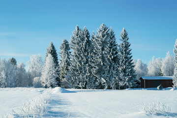 Village Cottage at Snowy winter Finland