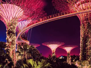 Gordijnen Trees at Gardens by Bay at Singapore city at night © Roman Babakin