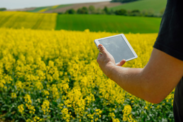 Farmer holding tablet