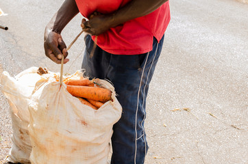 Tying Bag Of Carrots