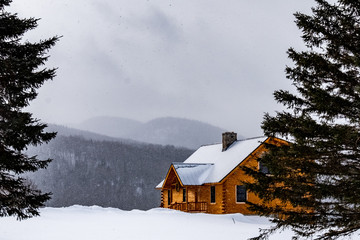 Cabin in the Mountains