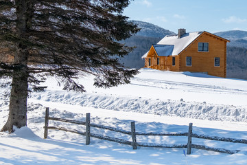 Cabin on the Hill