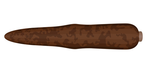 Isolated yucca icon image. Vector illustration design