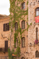 Fototapeta na wymiar hanging vines on old building in San Gimignano Italy