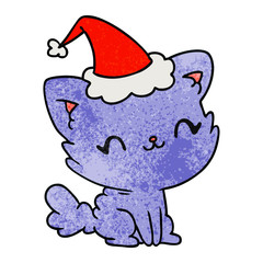 christmas textured cartoon of kawaii cat