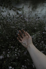 Moody hand with wildflowers