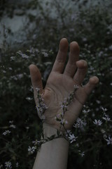 Moody Hand reaching for wildflowers