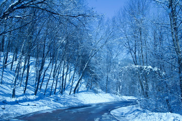 Rural winter landscape scene with snow covered road, trees and hillside