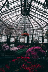 Inside of a Greenhouse