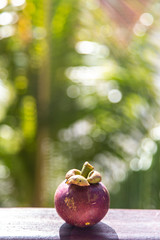 Mangosteen