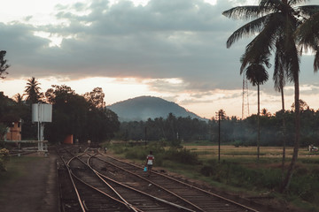 Sri Lankan Rail at Sunset