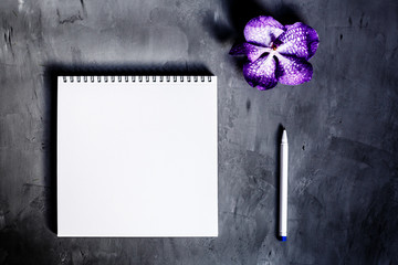Notebook, pen and purple flower lying on gray background. Flat lay. Top view. Place for text