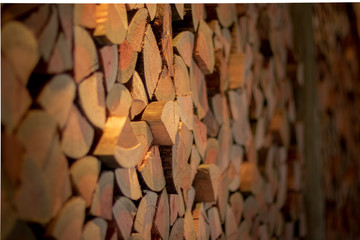 Wall with Woods Texture