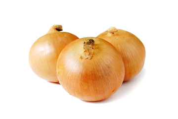 玉葱　白背景