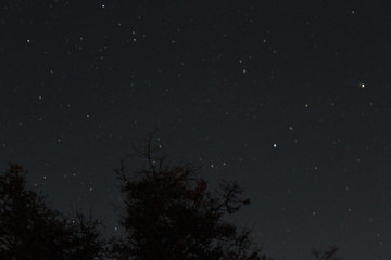 CIELO NOCTURNO