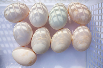 Obraz premium Nine duck eggs in white plastic basket on white background, Light & Shadow concept