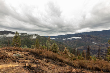 landscape in the mountains