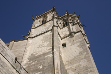 Ch&acirc;teau m&eacute;di&eacute;val d'Amboise-7