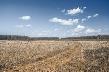 road in the fields