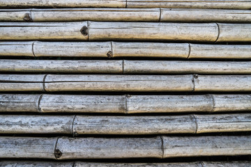 Bamboo Texture Background with Parallel Lines