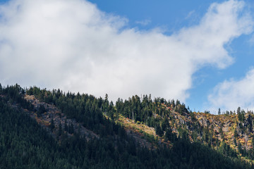 Green forest on the mountains with cloudy summer sky.