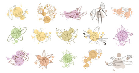 Spices, flavoring set, vector set, hand-drawn spices and ingredients, seasonings for food, spice and herbs, flavoring set, flavoring for food, flavor with spice