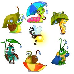 Fototapeta premium Set of cute joyful insects isolated on white background. Vector cartoon close-up illustration.