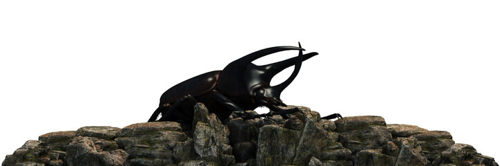 Fototapeta premium Dynastes hercules at sunset. 3d rendering