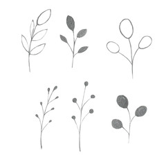 Watercolor silver, green, purple, violet leaves and branches on a white background. Ideal for cards and invitations.