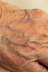 Fototapeta premium Senior woman's wrinkled skin texture of blood in back of the hand, Close up & Macro shot, Selective focus, Body part, Healthcare concept