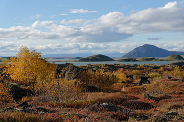 Fototapeta premium Landschaft am Myvatn, Island