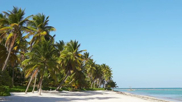 Panorama isolated palms beach  Thailand without people. Wild beach, heavenly place, sand and sea and sky. Palm trees on beautiful island. Amazing topical vacation Atlantic ocean without waves. Summer