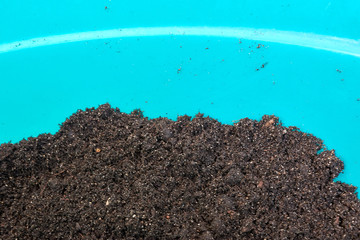 Soil for plant seeds in a blue plastic basin prepared for planting in plants.