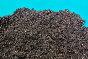 Soil for plant seeds in a blue plastic basin prepared for planting in plants at home
