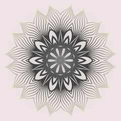 Modern Decorative Cicle Shapes. Floral Mandala. Vector Illustration. White grey color.