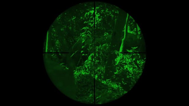 Indian One Horned Rhinoceros (Rhinoceros unicornis) Seen in Gun Rifle Scope with Night Vision. Wildlife Hunting. Poaching Endangered, Vulnerable, and Threatened Animals