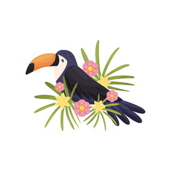 Cartoon toucan on white background. Vector flat illustration.