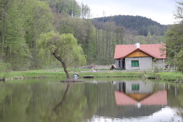 Fototapeta na wymiar Nature, photo Czech republic, Europe
