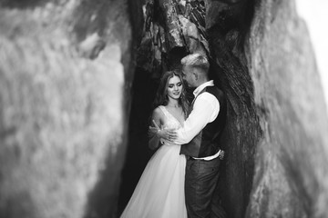 Beautiful wedding couple, bride and groom, in love on the background of mountains