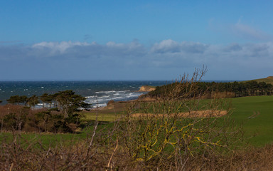 Fototapeta na wymiar view of the coast in Denmark