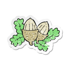 retro distressed sticker of a cartoon acorns