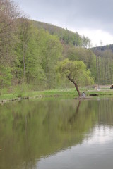 Fototapeta na wymiar Nature, photo Czech republic, Europe